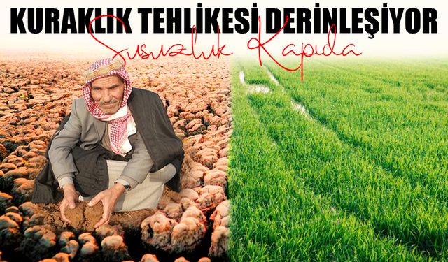 Şanlıurfa'da Kuraklık Tehlikesi Derinleşiyor: Susuzluk Kapıda!