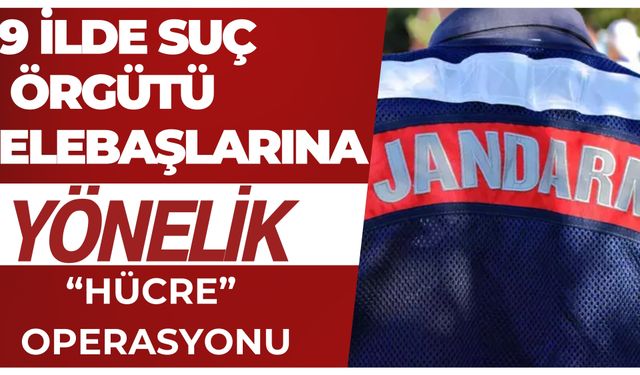 Şanlıurfa'da Dahil 9 İlde Suç Örgütü Elebaşlarına  Yönelik “Hücre” Operasyonu