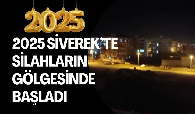 Siverek'te Yılbaşı Gecesi Silah Sesleriyle Çalkalandı