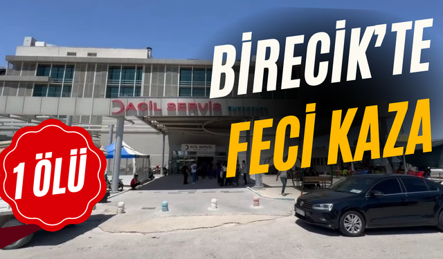 Şanlıurfa Birecik'te Trafik Kazası: Genç  Sürücü Hayatını Kaybetti