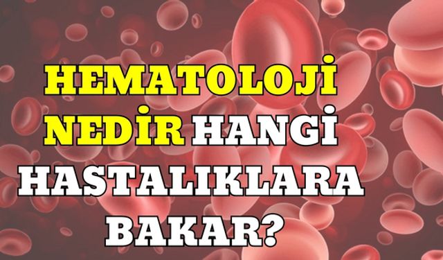 Hematoloji Nedir Hangi Hastalıklara Bakar?