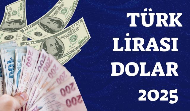 Türk Lirası Dolar 2025