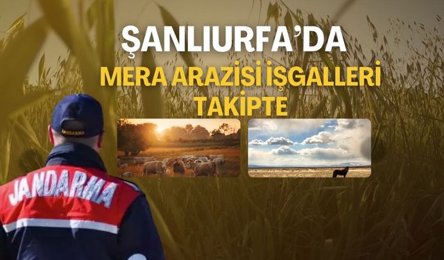 Şanlıurfa Jandarması Mera İşgallerine Karşı Harekete Geçti