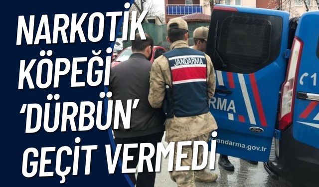 Şanlıurfa’da Narkotik Köpeği ‘Dürbün’ Geçit Vermedi: 2 Gözaltı