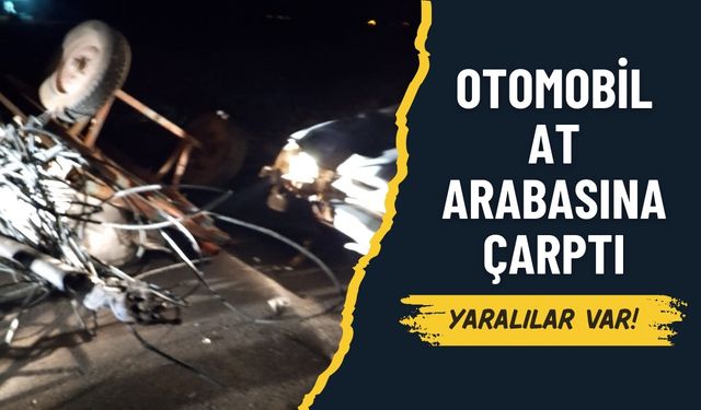 Şanlıurfa Suruç’ta Otomobil At Arabasına Çarptı: 3 Yaralı