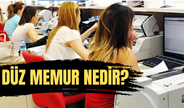 Düz Memur Nedir?