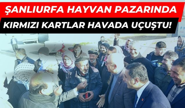 Şanlıurfa Hayvan Pazarında Kırmızı Kartlar Havada Uçuştu!