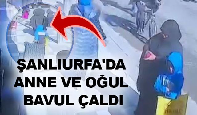 Şanlıurfa'da Anne ve Oğul Bavul Çaldı