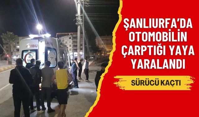 Şanlıurfa’da Otomobilin Çarptığı Yaya Yaralandı, Sürücü Kaçtı