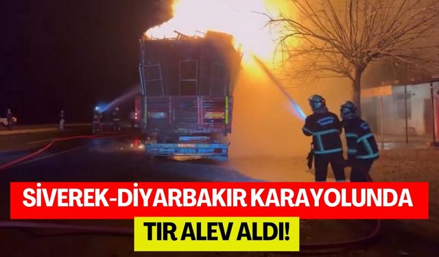 Siverek-Diyarbakır Karayolunda Tır Alev Aldı!