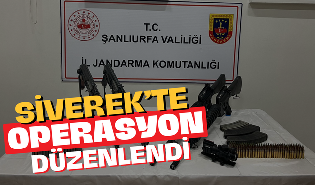 Siverek’te Çok Sayıda Piyade Tüfeği Ele Geçirildi