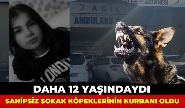 Sokak Köpeklerinin Saldırısına Uğramıştı: 12 Yaşındaki Kız Çocuğundan Acı Haber