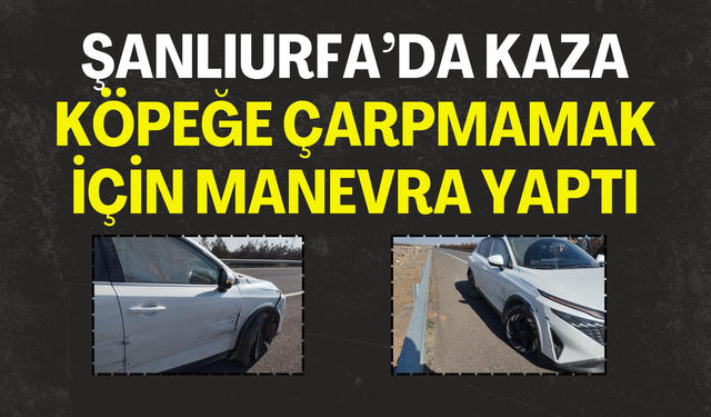 Şanlıurfa Suruç’ta Köpeğe Çarpmamak İçin Kaza Yaptı!