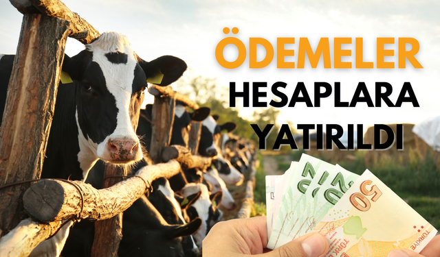 Üreticilere 2,3 Milyar TL Destek Ödemesi Hesaplara Yatırıldı: İşte Detaylar