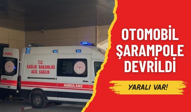 Ceylanpınar’da Şarampole Devrilen Otomobilde 2 Yaralı