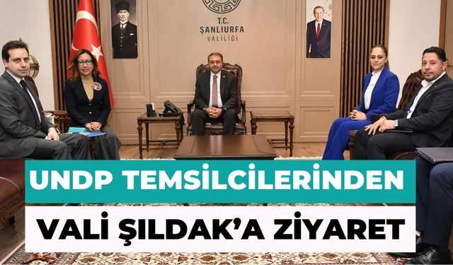 UNDP Temsilcilerinden Vali Şıldak’a Ziyaret