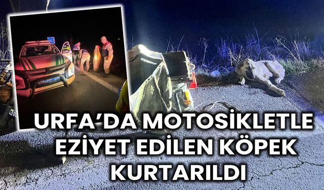 Karaköprü’de Köpeğe Motosikletle İşkence, Jandarma Devreye Girdi!