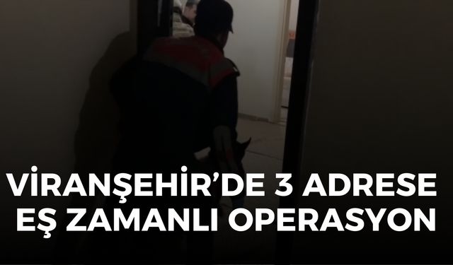 Viranşehir’de 3 Adrese Eş Zamanlı Operasyon