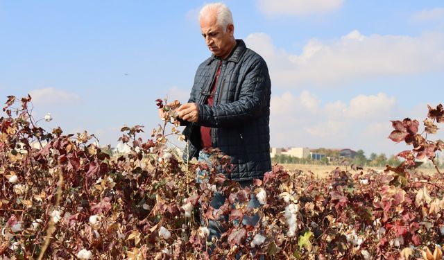 Şanlıurfa'da Yenileyici Tarım Uygulamaları Yaygınlaşıyor