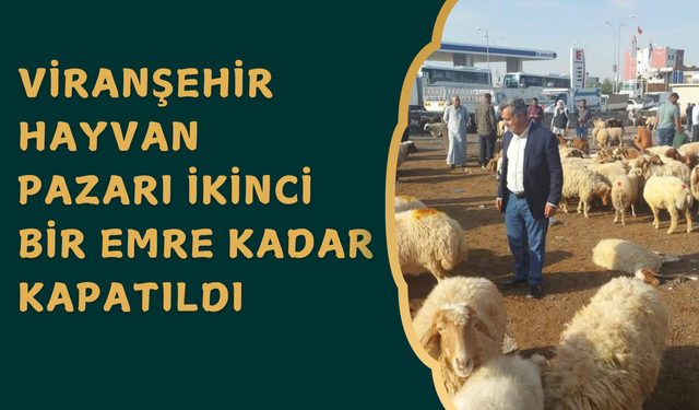 Viranşehir Hayvan Pazarı İkinci Bir Emre Kadar Kapatıldı