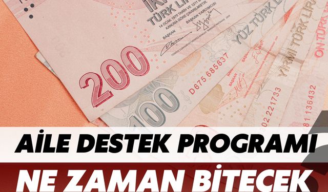 2025 Şubat Ayı Aile Destek Programı Ne Zaman Bitecek?