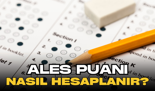 ALES Puanı Nasıl Hesaplanır?