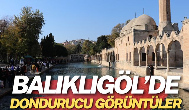 Balıklıgöl’de Dondurucu Soğukların Etkileri