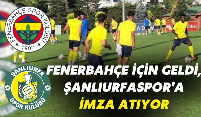 Fenerbahçe İçin Geldi, Şanlıurfaspor'a İmza Atıyor