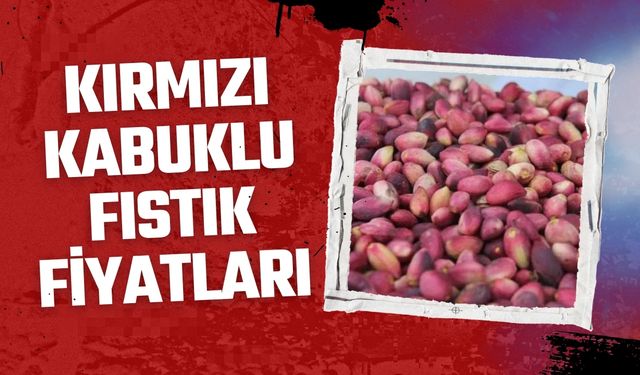 Kırmızı Kabuklu Fıstık Fiyatları