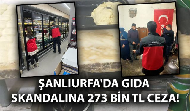 Şanlıurfa'da Gıda Skandalına 273 Bin 630 TL Ceza!