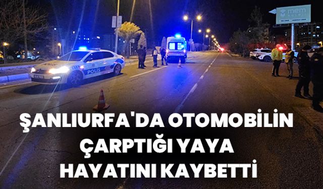 Karaköprü'de Yaya Öldü, Otomobil Sürücüsü Gözaltında