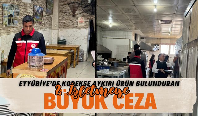 Eyyübiye’de Kodekse Aykırı Ürün Bulunduran 2 İşletmeye Büyük Ceza