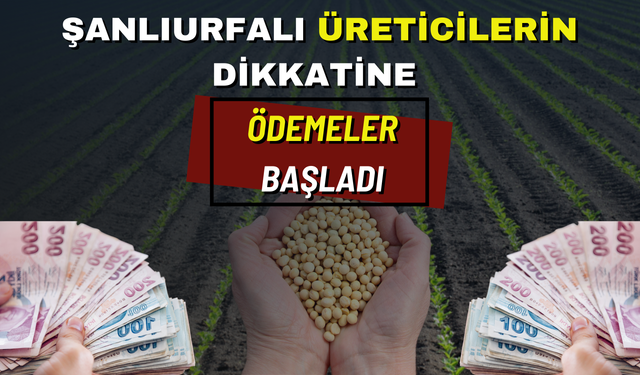 Şanlıurfalı Üreticilerin Dikkatine! Ödemeler Başladı!