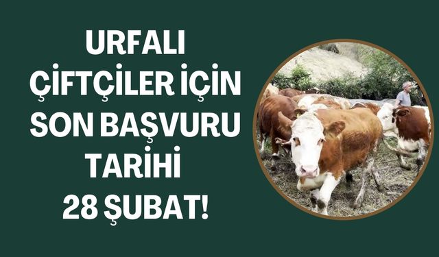 Urfalı Çiftçiler Dikkat: 28 Şubat’a Kadar Başvuru Yapabilirsiniz!