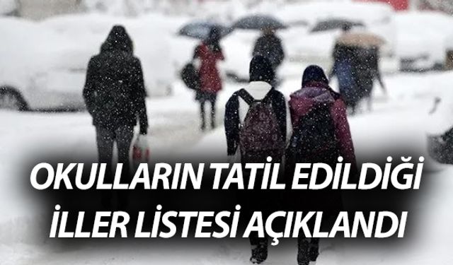 19 Şubat 2025 Çarşamba Günü Okulların Tatil Olduğu İller Listesi Açıklandı