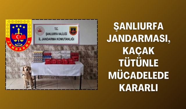 Jandarma, Şanlıurfa’da Kaçakçılığa Geçit Yok Dedi