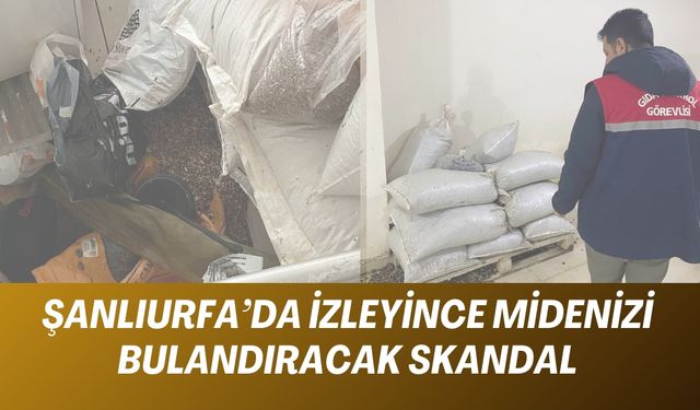 Şanlıurfa’da İzleyince Midenizi Bulandıracak Skandal