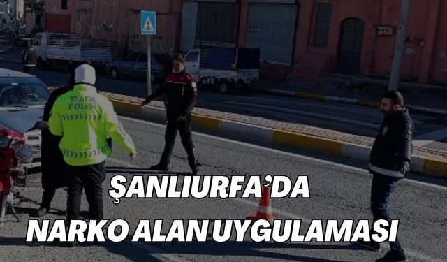 Şanlıurfa’da Narko Alan Uygulaması: 350 Gram Bonzai Yakalandı