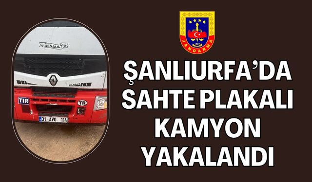 Şanlıurfa’da Sahte Plakalı Kamyon Jandarmaya Takıldı