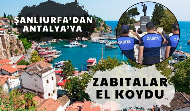 Şanlıurfa’dan Antalya’ya Bakın Ne Götürdüler… Zabıtalar El Koydu