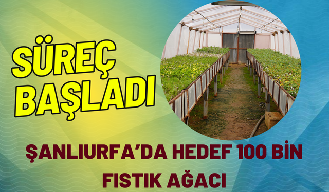 Süreç Başladı: Şanlıurfa’da Hedef 100 Bin Fıstık Ağacı!