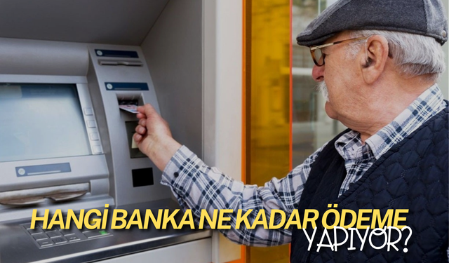 Bankalar Arasında Emekli Promosyonu Rekabeti:  Hangi Banka Ne Kadar Ödeme Yapıyor?