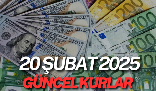 Dövizde Son Durum: Dolar ve Euro Ne Kadar Oldu? (20 Şubat 2025 Güncel Kurlar)