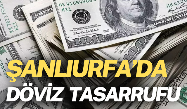 Şanlıurfa Döviz Tasarrufunda Sonlarda