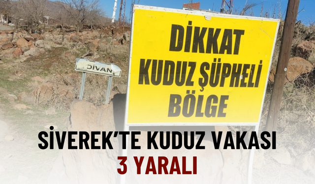 Siverek’te Kuduz Vakası! 3 Yaralı