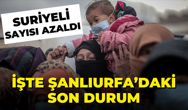 Türkiye’de Suriyeli Sayısı Azaldı! İşte Son Rakamlar ve Şanlıurfa’daki Durum