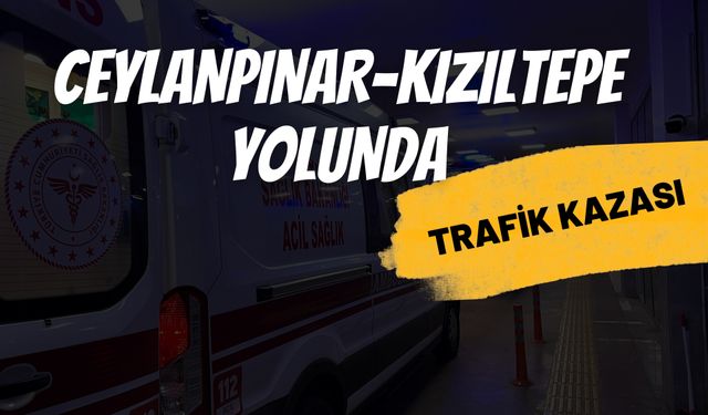 Ceylanpınar-Kızıltepe Yolunda Kaza: 1 Kişi Yaralandı!