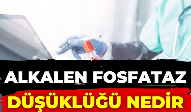 Alkalen Fosfataz Düşüklüğü Nedir