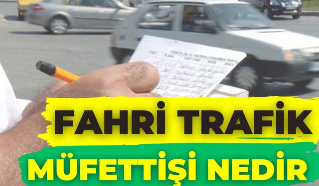 Fahri Trafik Müfettişi Nedir