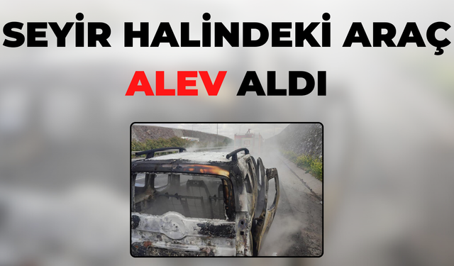 Birecik’te Seyir Halindeki Araç Alev Aldı